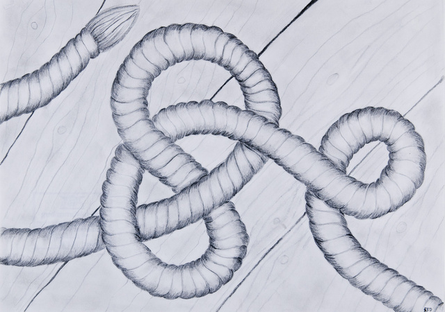 Sachzeichnen: Verknotetes Tau