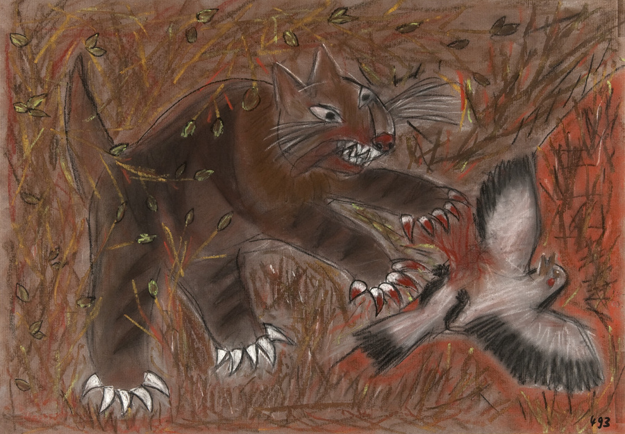 Tier: Katze auf der Pirsch