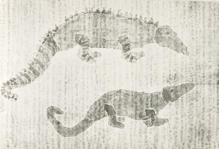 Papierdruck - Schuppentiere