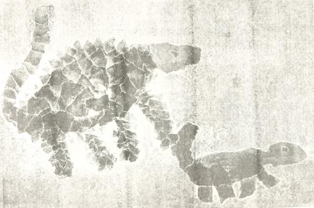 Papierdruck - Schuppentiere