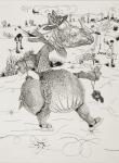 Dürer: Rhinozeros