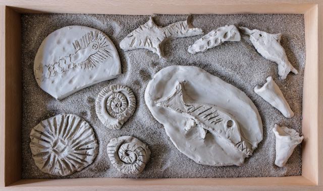 fake fossils